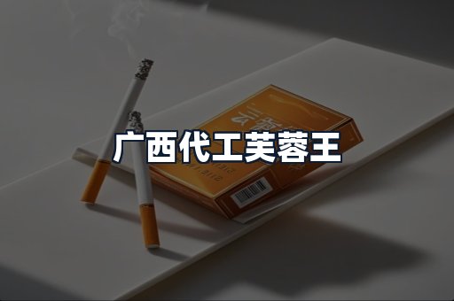 广西代工芙蓉王